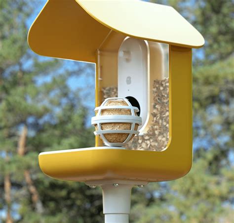 Bird Buddy: Co-Living with nature in the digital age - Eclectic Trends