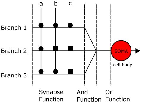 A Novel Bio-Inspired Motion Direction Detection Mechanism in Binary and ...