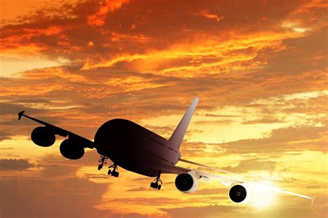 London passenger assaults Air India crew mid-air; flight returns to ...