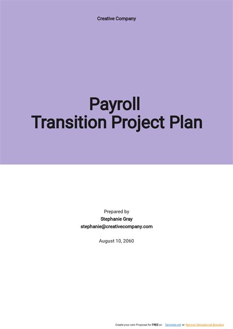Image result for ADP Payroll Conversion Project Plan Template