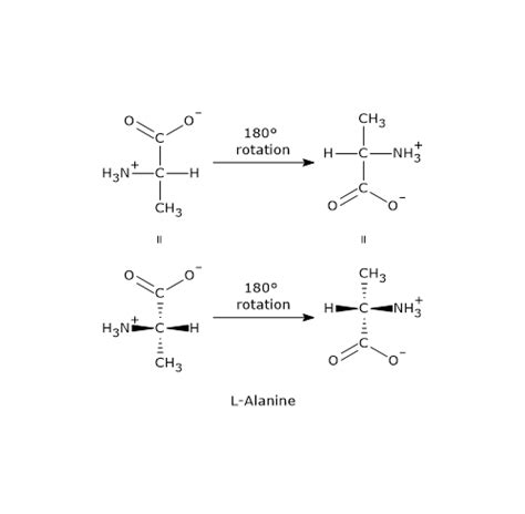 Image result for Fischer Projection Explained