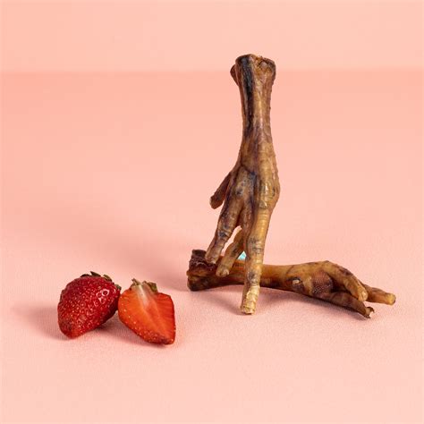 Chicken Feet for Dogs (Dehydrated) - Canine Craving