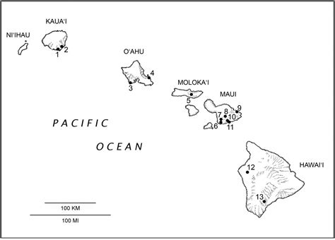 Species New to Science: [Mammalogy • 2016] Synemporion keana • A Second Endemic Land Mammal for ...