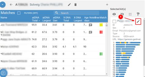 Image result for Color Coding DNA Matches