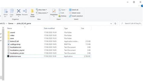 Image result for BO2 Plutonium Download Tutorial