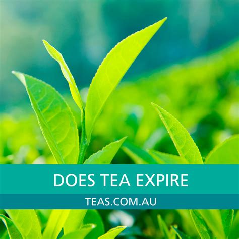 Does tea expire – Teas.com.au