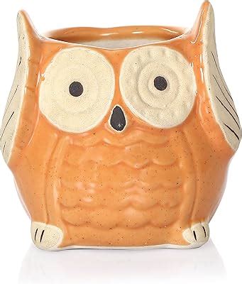 UrbanRoots Ceramic Owl Planter (3 inch) (White) : Amazon.in: Garden ...