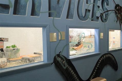 Philadelphia Insectarium CEO John Cambridge accused of vandalism before ...