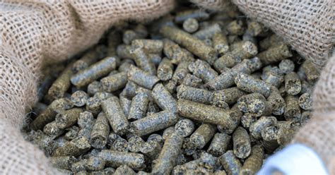 Making Pellets 的图像结果