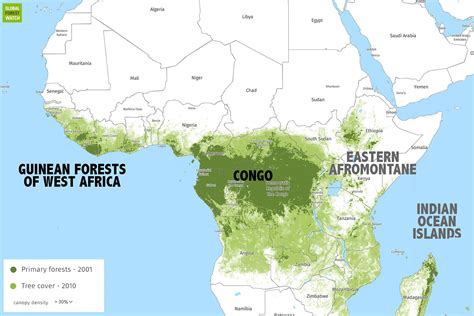 Congo River Basin Rainforest World Map : Where Are Rainforests ...