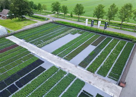 What is the best greenhouse floor? | Ultimate Guide | Growers