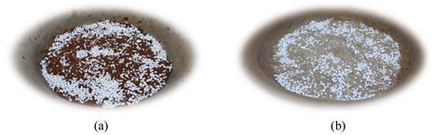 Mechanical and Microstructural Evaluation of Compacted Mixtures of ...