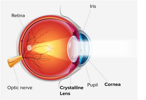Vision Disorders - Vision Care Clinic