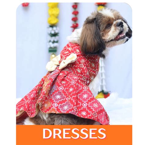 Dog Ethnic Wear: Kurtas, Sherwanis, and More at Pawgy Pets