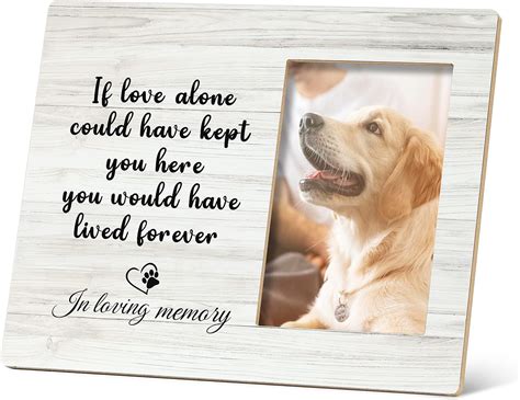 Amazon.com: SRADMO Dog Memorial Picture Frame - Pet Memory Photo Frame ...