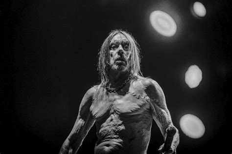 Review: Iggy Pop's 'every Loser'