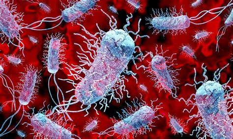 Superbugs 'could overwhelm NHS' this winter as stretched services ...