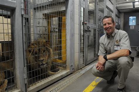 Zoo de Granby: «On a tout mis en place pour créer la distanciation»_Karl Fournier - Le Granby ...