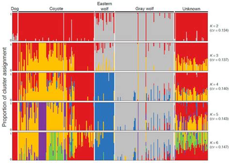 Population Genomic Analysis of North American Eastern Wolves (Canis ...