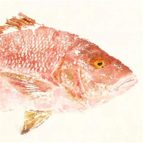 Gyotaku Fish Prints