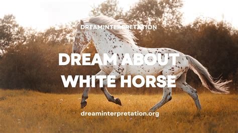 Spiritual Meaning Of Seeing A White Horse at Jeremy Burris blog