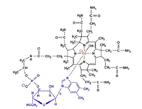 Vitaminler - B12 Vitamini (Siyanokobalamin)