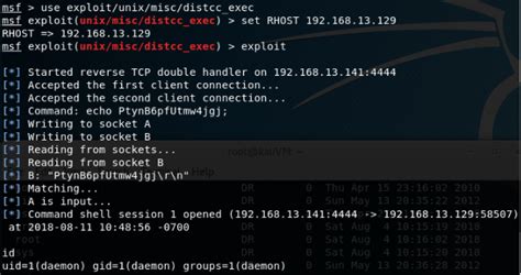 Image result for Metasploitable Exploit X Server Detection