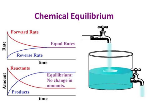 Image result for Chemical Equilibrium Problems
