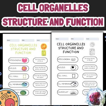 Image result for Cell Function Table