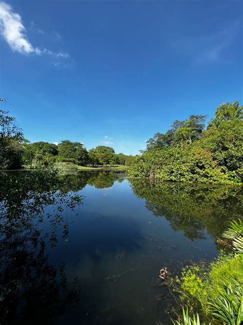 Forrest Language Techniques 的图像结果