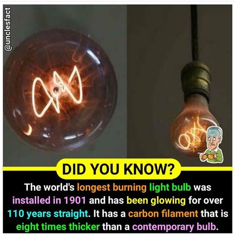 Image result for Random Amazing Facts
