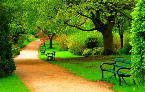 Free photo: Beautiful Park - Beautiful, Flower, Fresh - Free Download ...