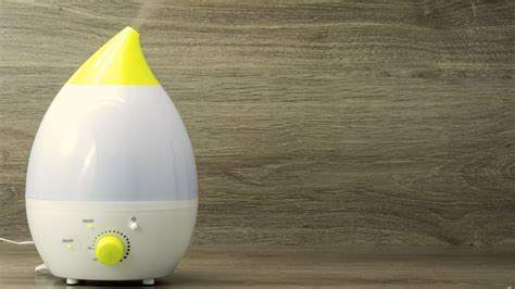 The Benefits of Using a Humidifier Go Beyond Curing the Cough – SheKnows