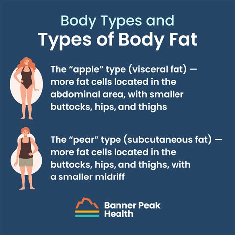 Types Of Body Fat Visceral Subcutaneous at Frances Chavez blog