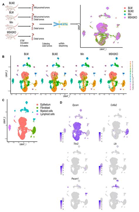 Single-Cell Profiling Reveals the Impact of Genetic Alterations on the ...