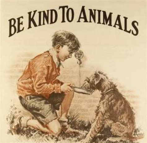 poster on kindness to animals - Brainly.in