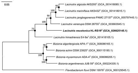 Characterization of Lacinutrix neustonica sp. nov., Isolated from the ...