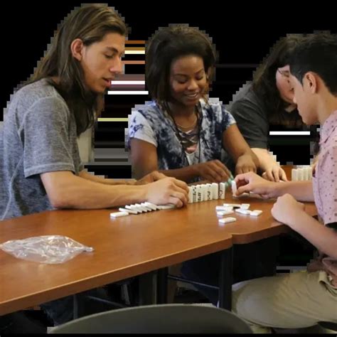 Image result for Insight Training