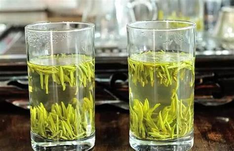 绿茶是什么茶_绿茶属于什么茶 - 随意优惠券