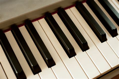 Image result for Piano Roblox Corpse Bride