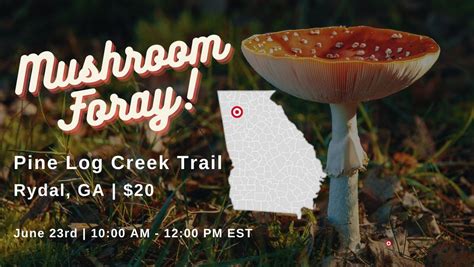 Guided Mushroom Foray | Rydal, GA, Pine Log Creek Trail, Rydal, 23 June ...