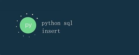 Python SQL Insert 的图像结果