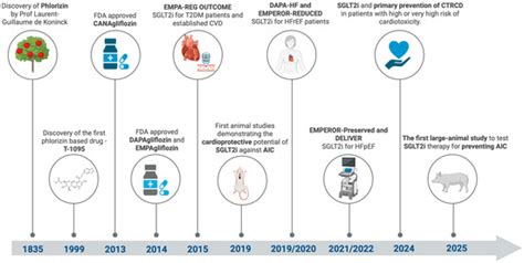 Doxorubicin-Induced Cardiotoxicity and the Emerging Role of SGLT2 ...