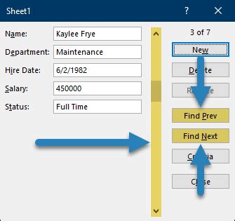SUPER EASY Excel Data Entry Form - Xelplus - Leila Gharani
