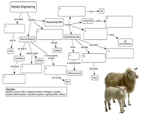 Image result for Genetic Engineering Concept Map