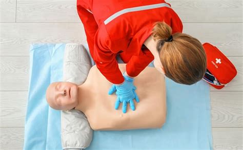 Labcare CPR Training Mannequin Half Body for cpr First Aid Training ...
