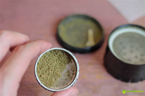 Turn Your Kief into Hash with This 5-Step Guide | Greendorphin.com