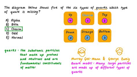 Image result for Quark Chart