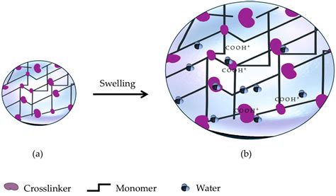 From Agro-Industrial Waste to Natural Hydrogels: A Sustainable ...