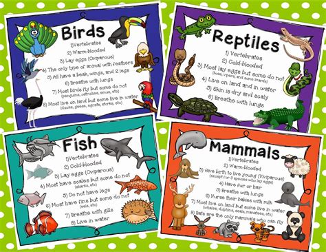 http://www.teacherspayteachers.com/Product/Animal-Classification ...